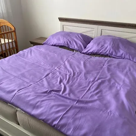 Bezbarierovy Lodenica - V Tesnej Blizkosti Adelli Centra Пьештяни